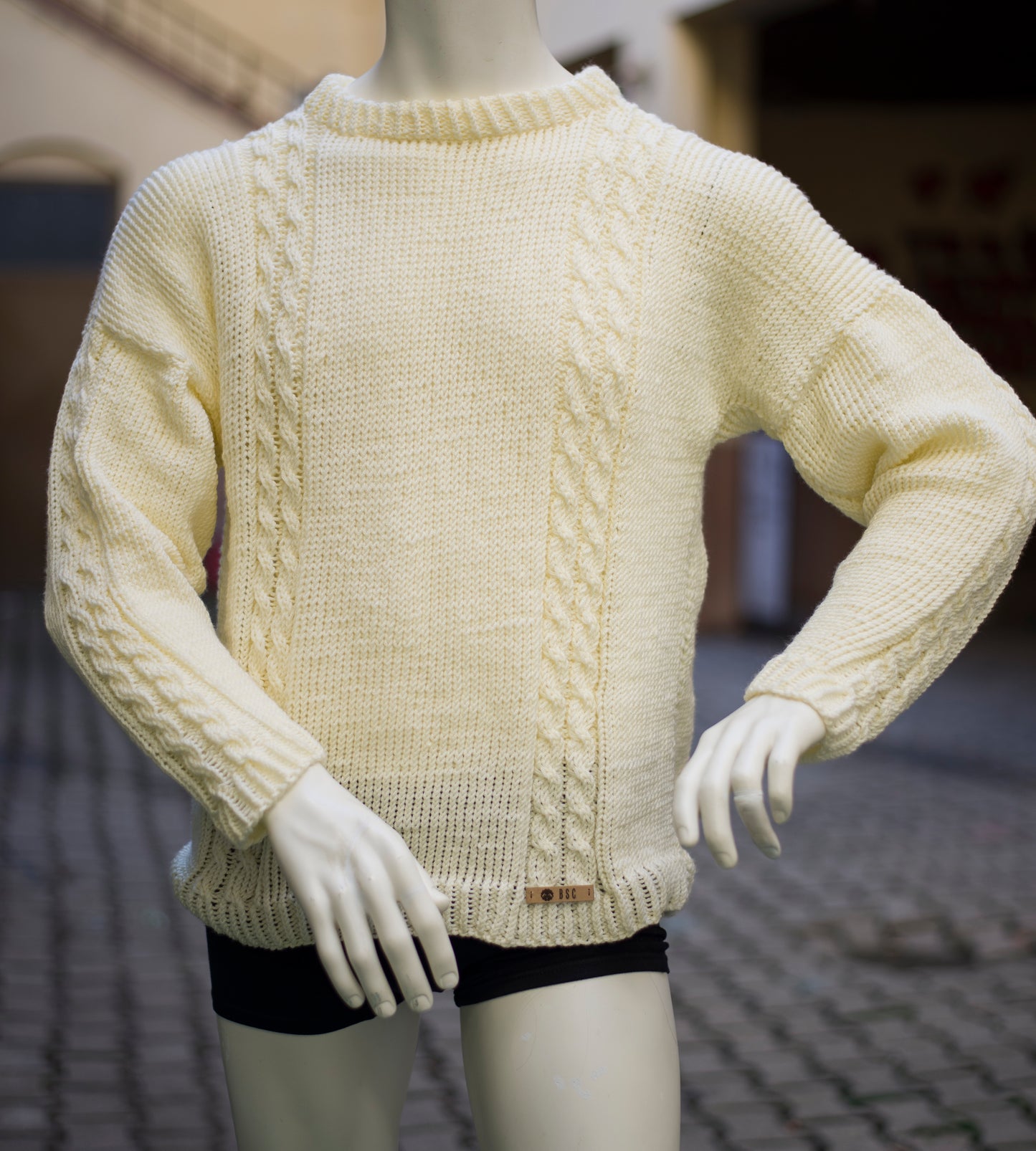 "French Affair" Men's Sweater